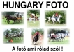 HUNGARY FOTO: Horváth Attila